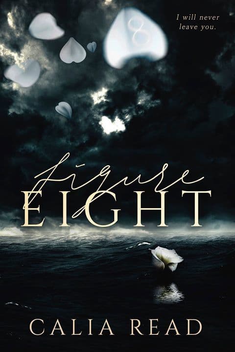 Figure Eight book cover