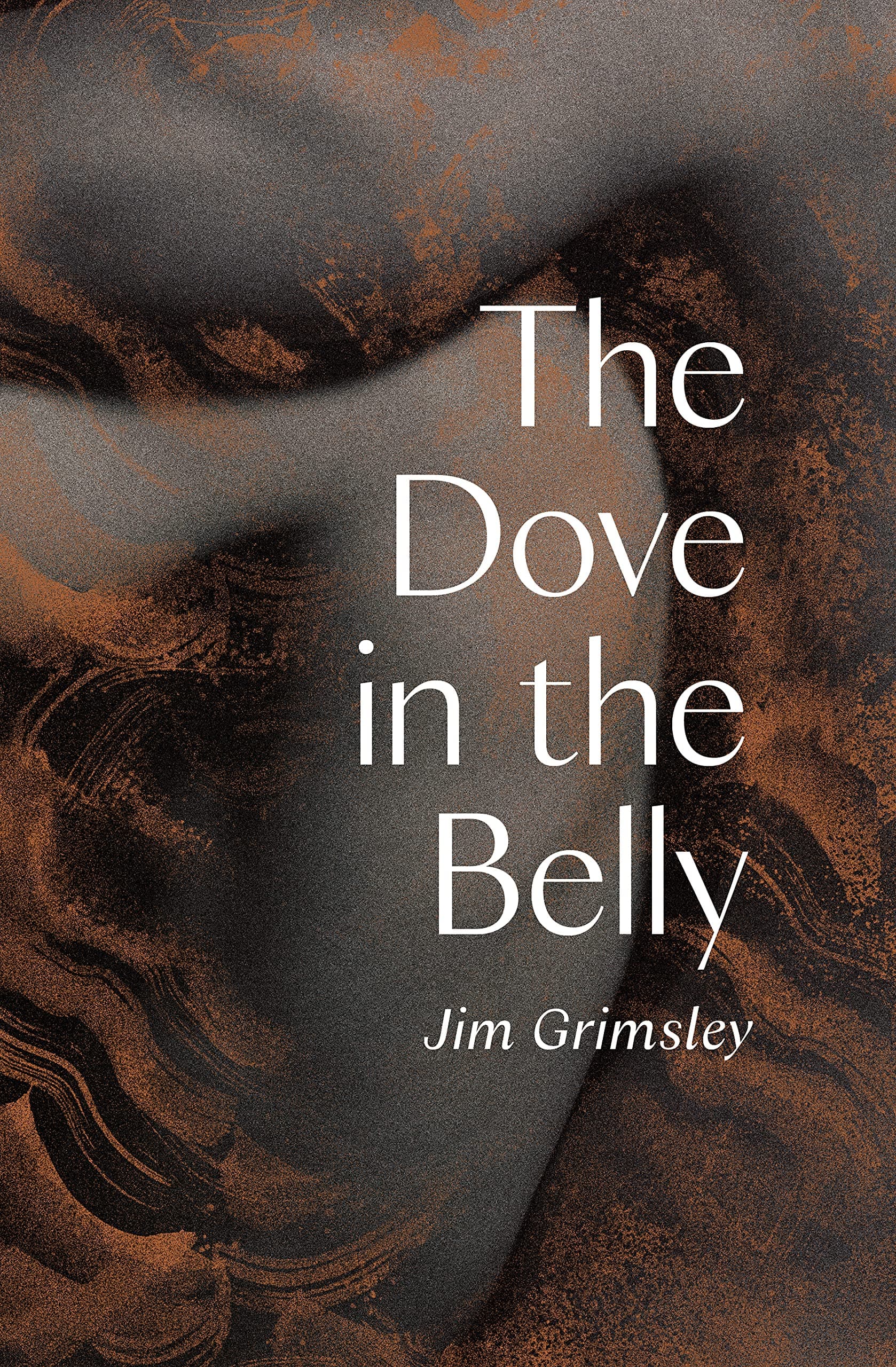 The Dove in the Belly book cover