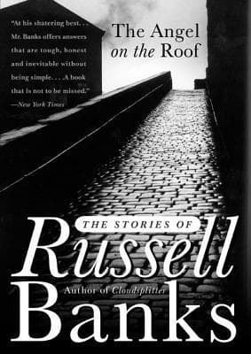 The Angel on the Roof book cover