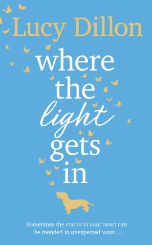Where The Light Gets In book cover