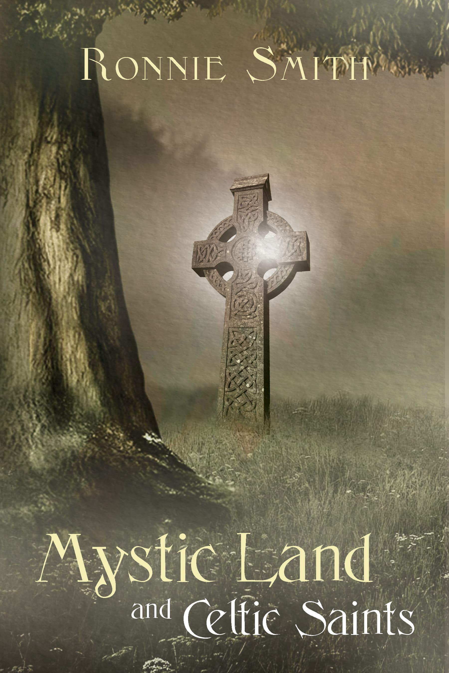 Mystic Land and Celtic Saints book cover