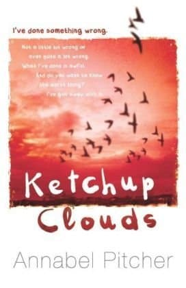 Ketchup Clouds book cover