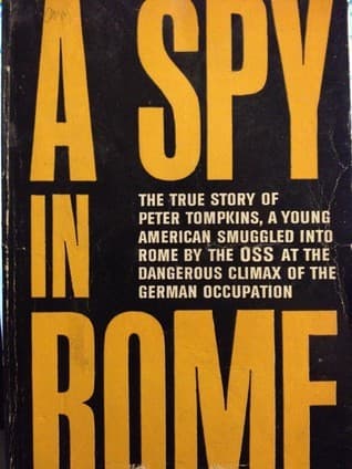A Spy in Rome book cover