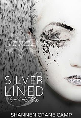 Silver Lined book cover