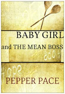 Babygirl and the Mean Boss book cover
