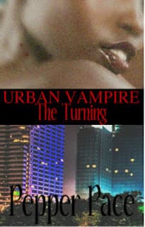 The Turning book cover