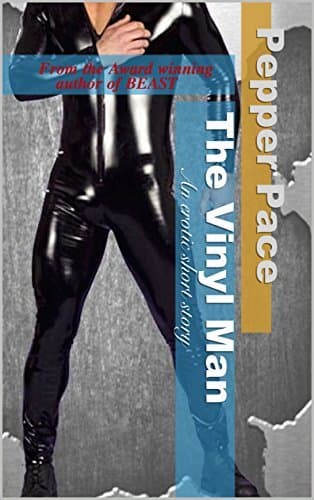 The Vinyl Man book cover
