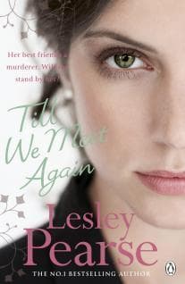 Till We Meet Again book cover