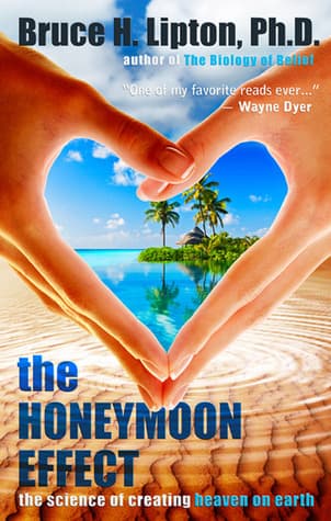The Honeymoon Effect: The Science of Creating Heaven on Earth book cover