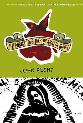 The Miraculous Day of Amalia Gomez book cover