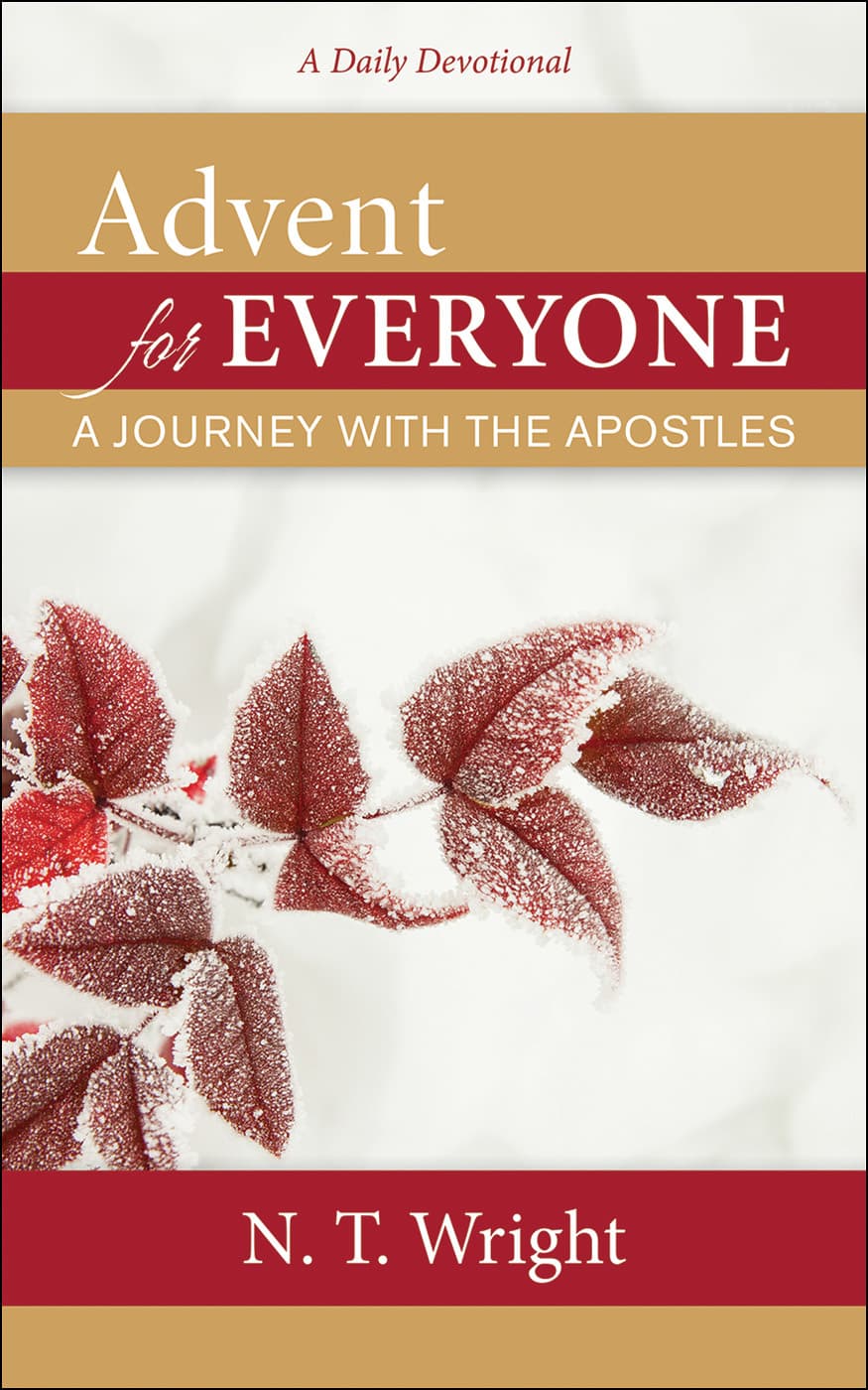 Advent for Everyone: A Journey with the Apostles: A Daily Devotional book cover