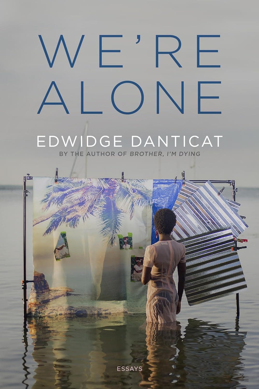 We're Alone: Essays book cover