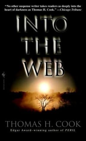 Into the Web: A Novel book cover