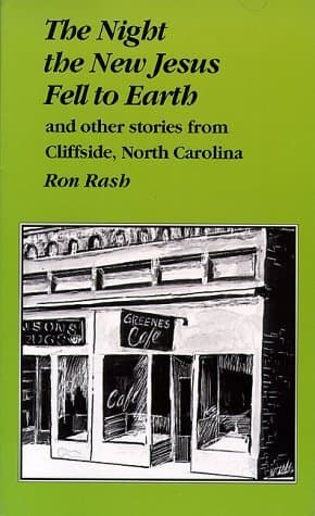 The Night the New Jesus Fell to Earth: and Other Stories from Cliffside, North Carolina book cover