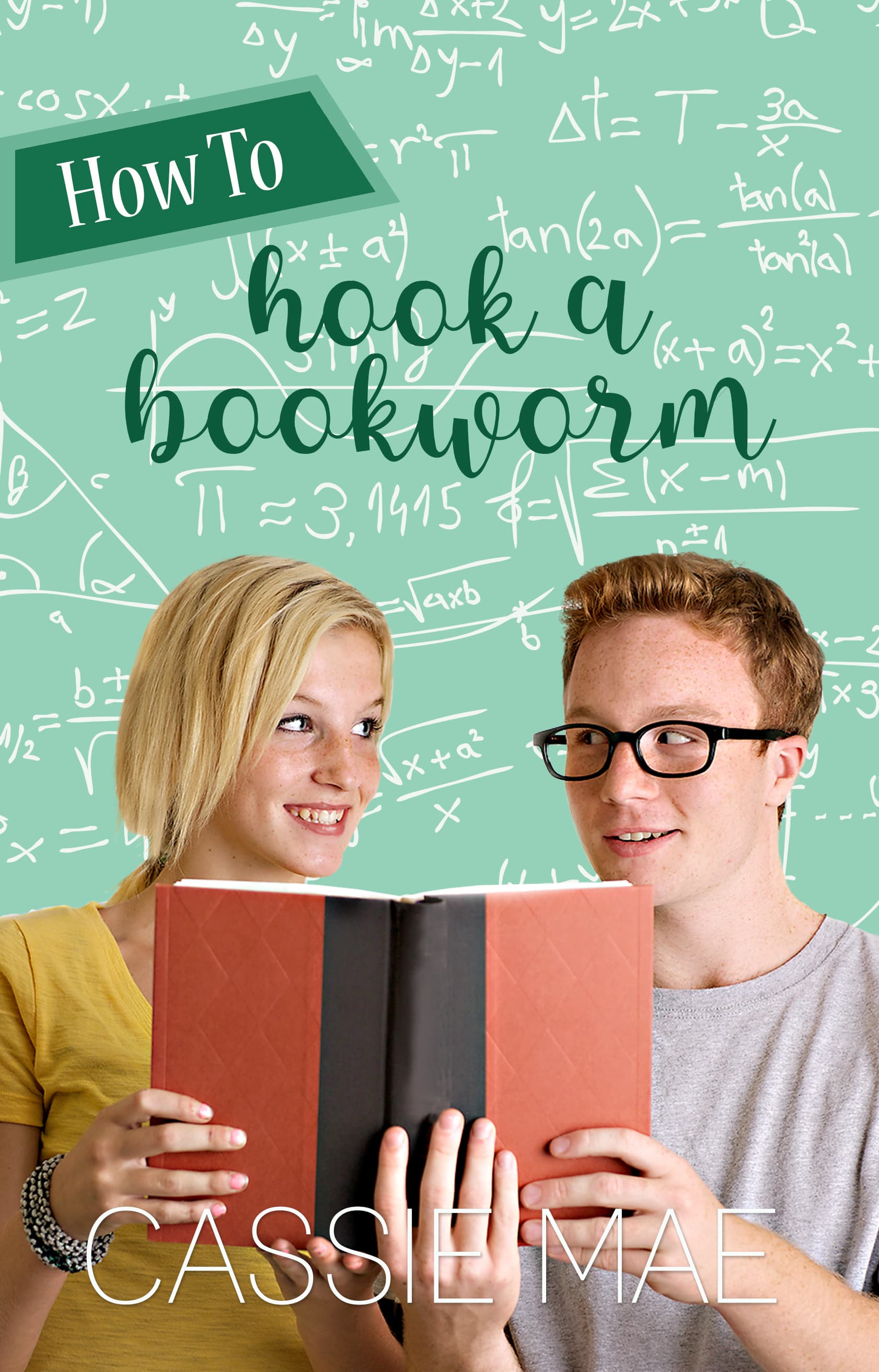 How to Hook a Bookworm book cover