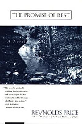The Promise of Rest book cover