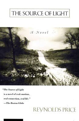 The Source of Light book cover