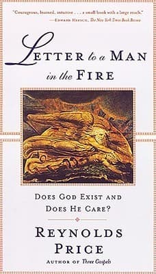 Letter to a Man in the Fire: Does God Exist and Does He Care? book cover