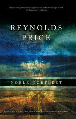 Noble Norfleet book cover
