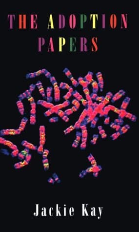 The Adoption Papers book cover