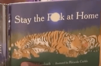 Stay the F At Home book cover