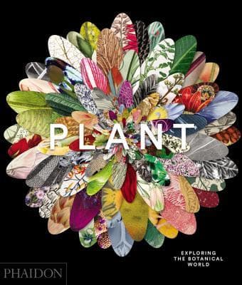 Plant: Exploring the Botanical World book cover