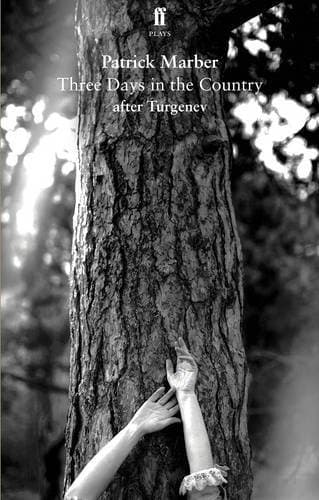 Three Days in the Country: After Turgenev book cover