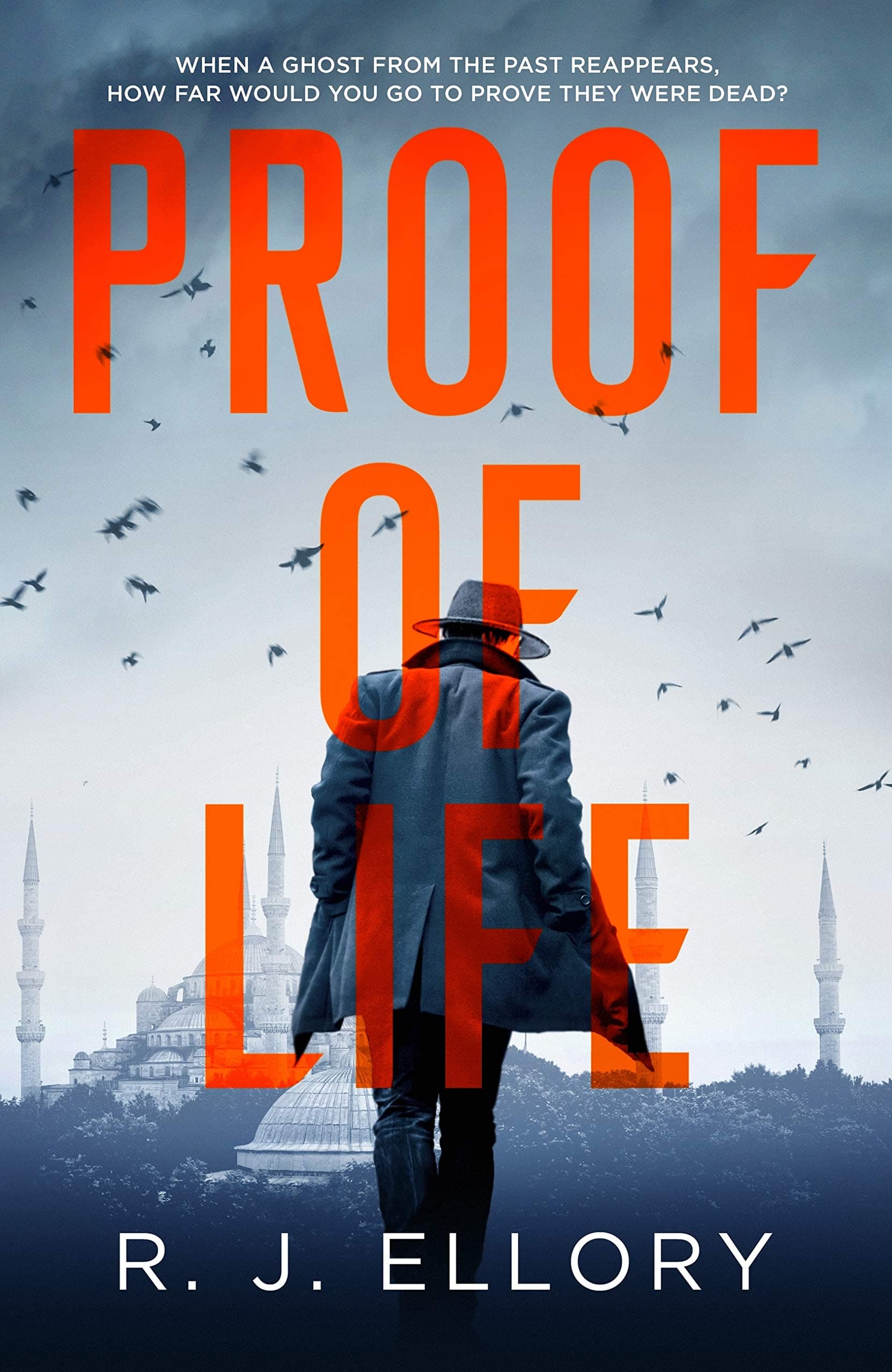 Proof of Life book cover
