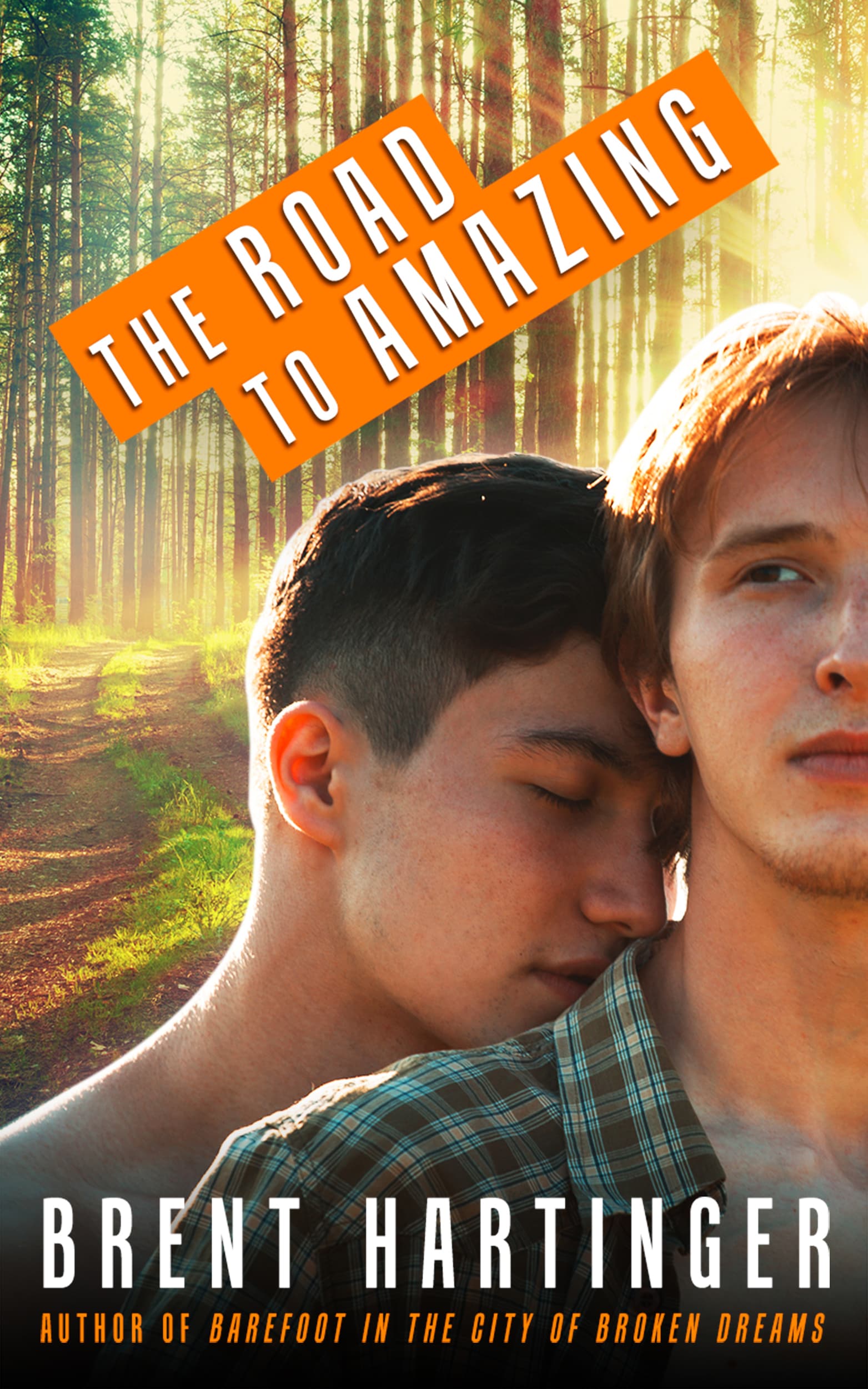 The Road to Amazing book cover