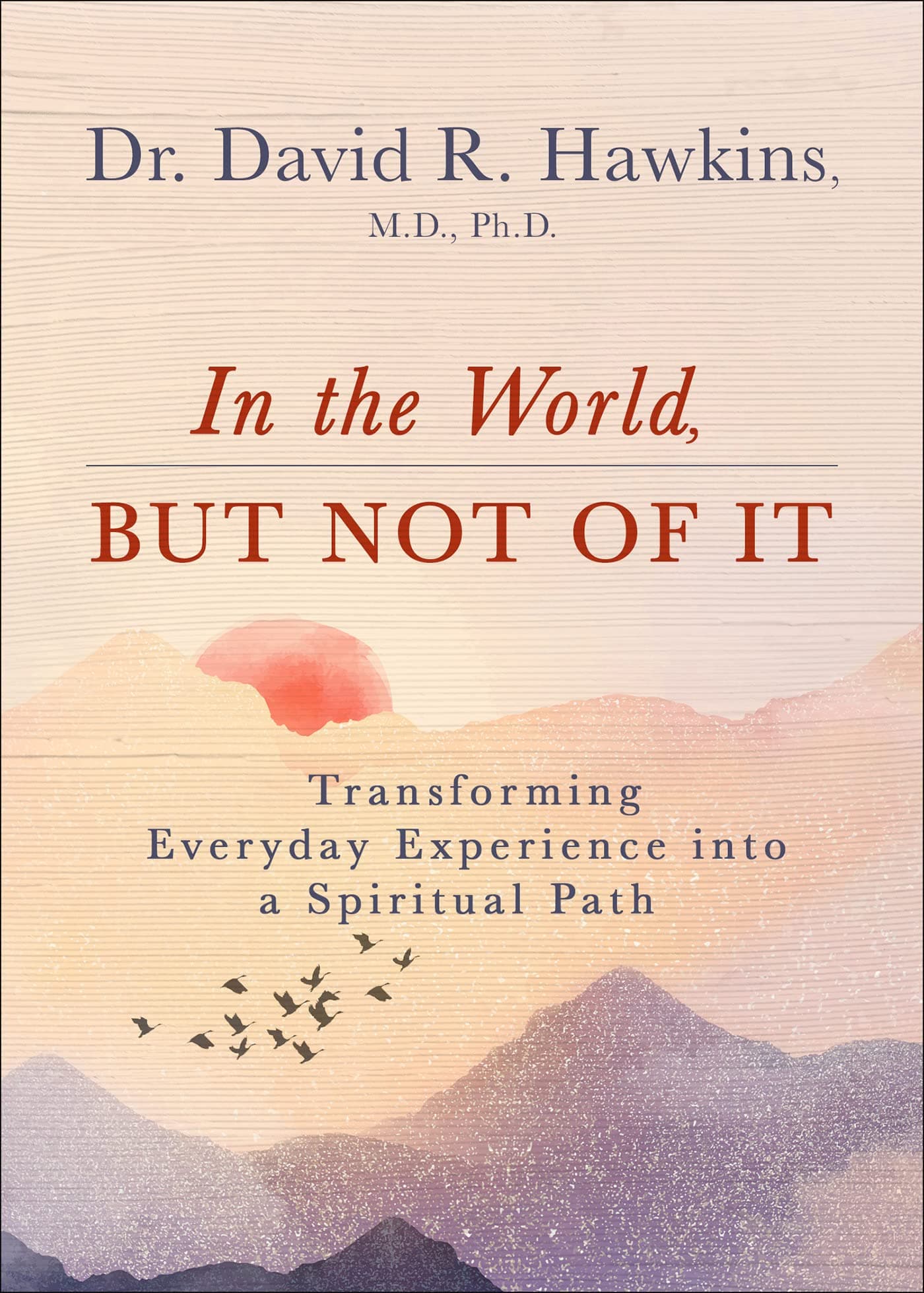 In the World, But Not of It: Transforming Everyday Experience into a Spiritual Path book cover