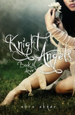 Book of Love book cover