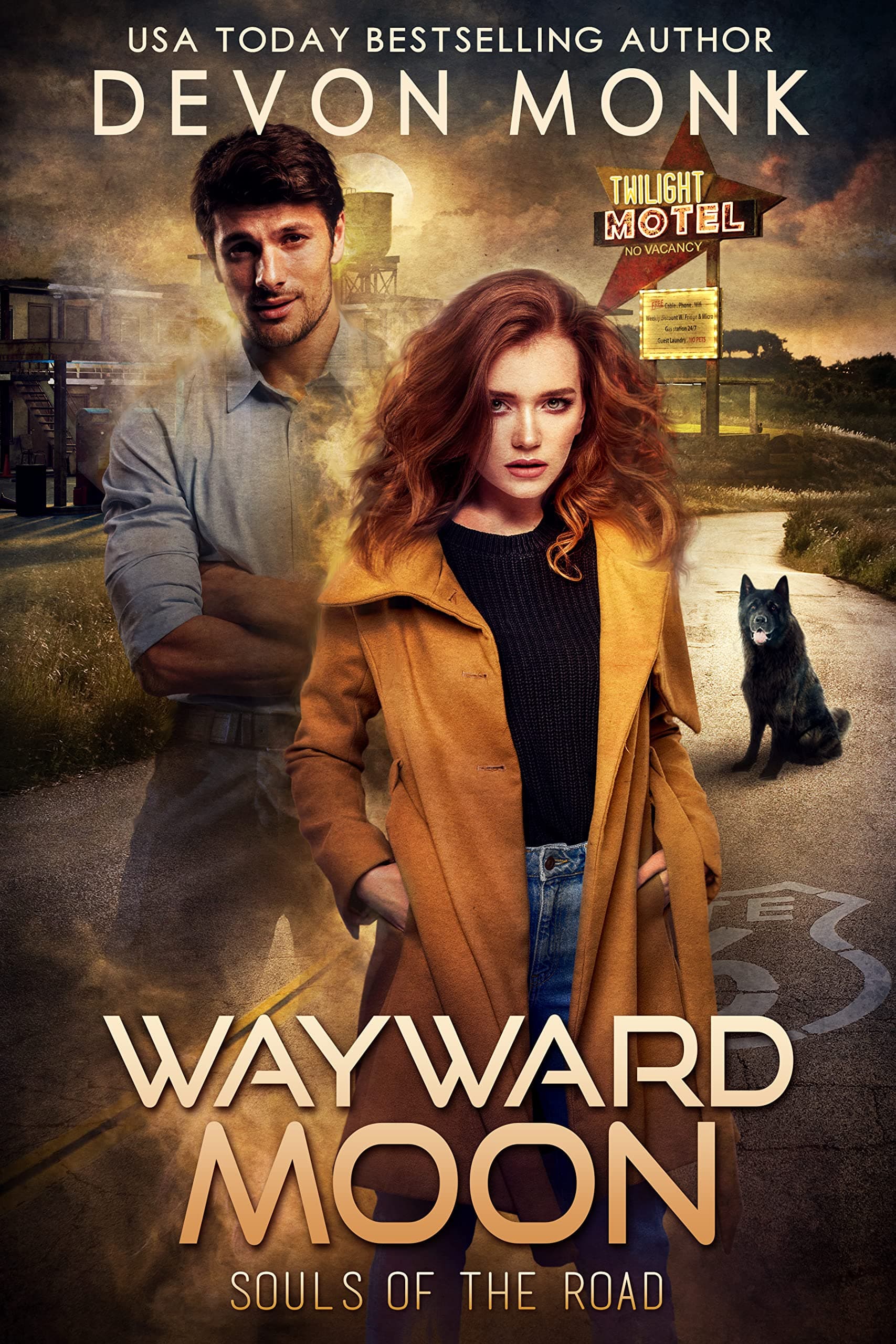 Wayward Moon book cover