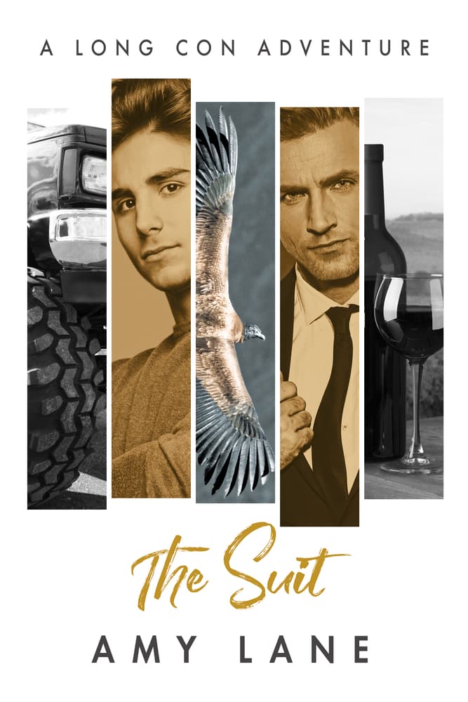 The Suit book cover