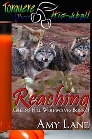 Reaching book cover