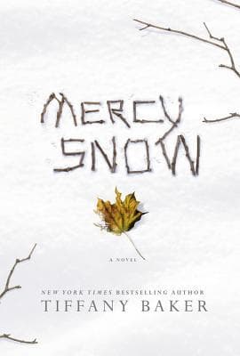 Mercy Snow book cover