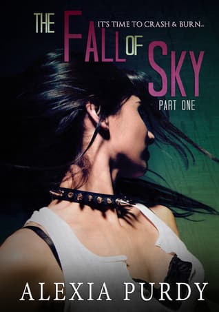 The Fall of Sky: Part One book cover