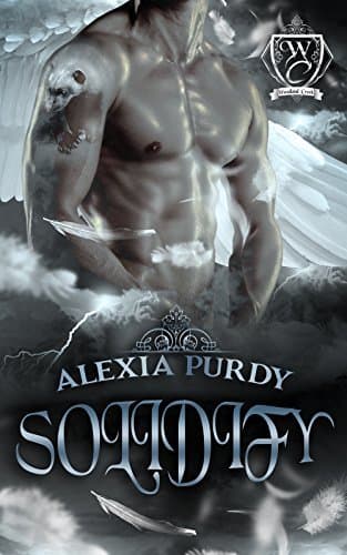Solidify book cover