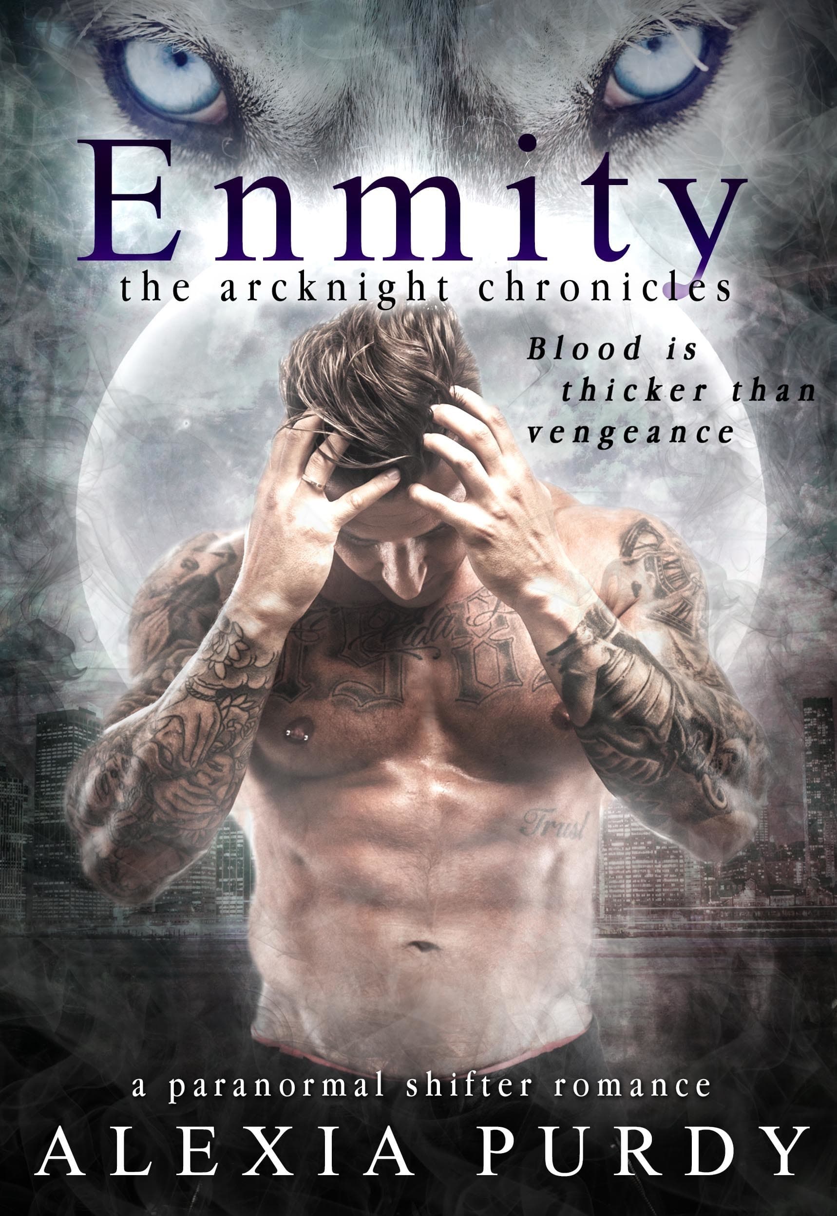 Enmity book cover