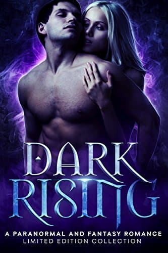 Dark Rising book cover