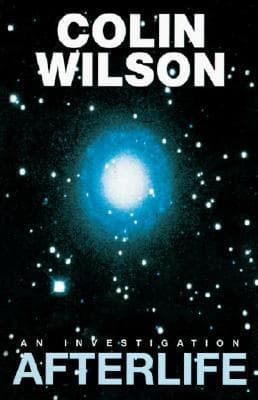 Afterlife: An Investigation book cover