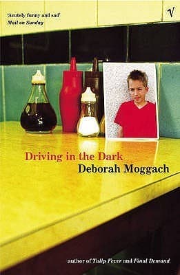 Driving in the Dark book cover