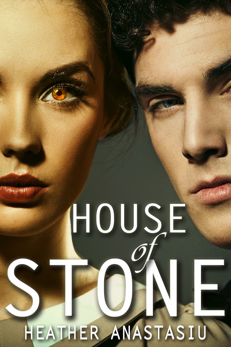 House of Stone book cover
