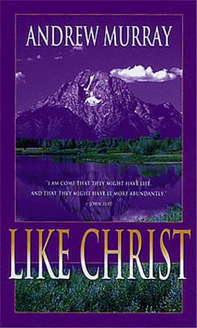 Like Christ book cover
