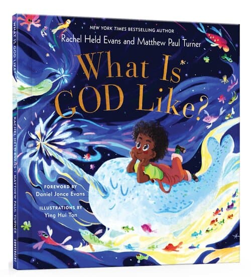 What Is God Like? book cover