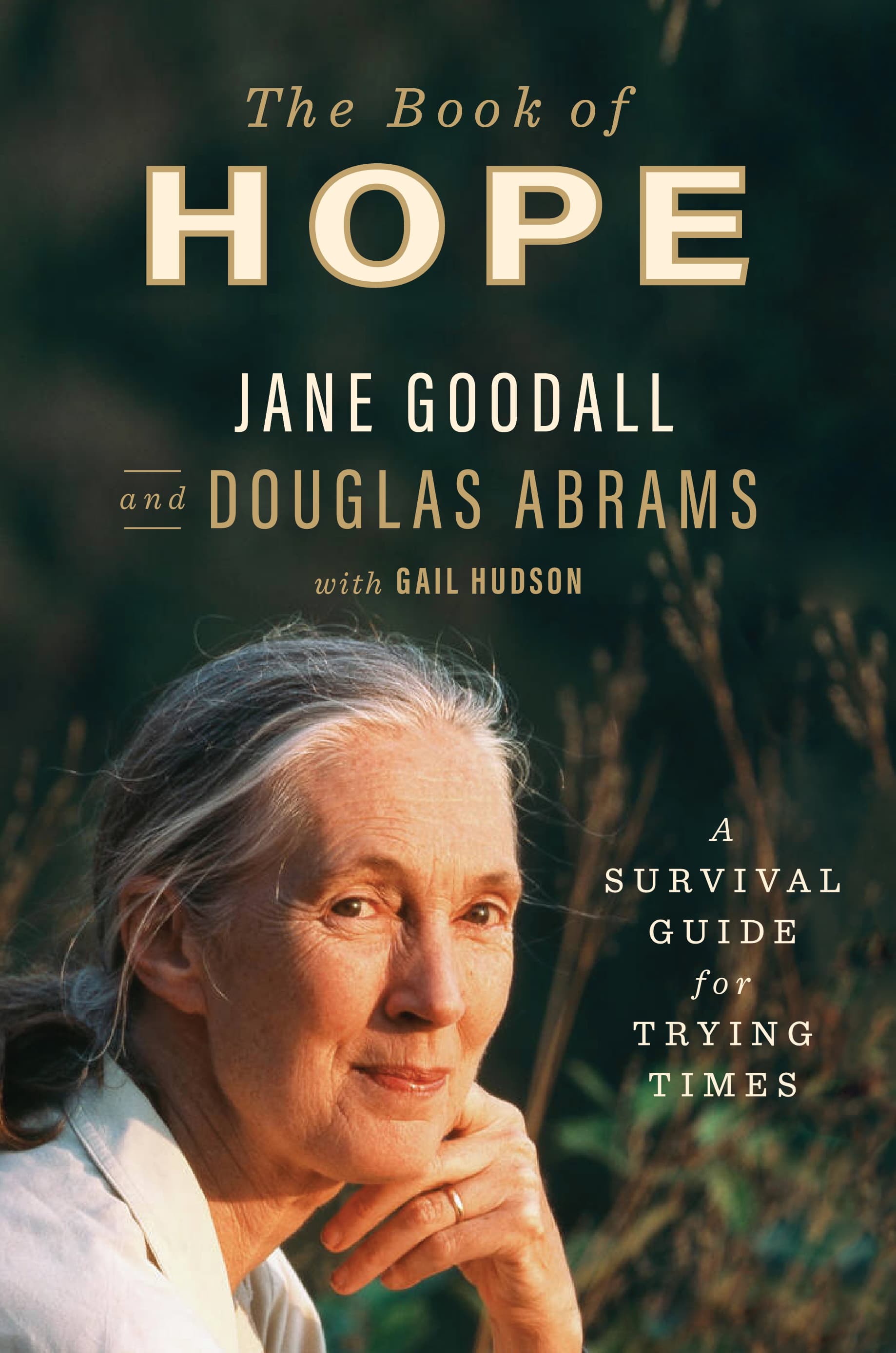 The Book of Hope: A Survival Guide for Trying Times book cover