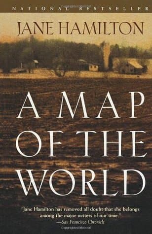 A Map of the World book cover