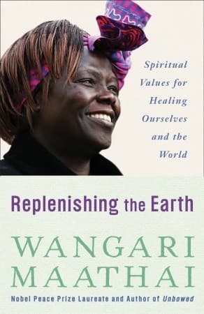 Replenishing the Earth: Spiritual Values for Healing Ourselves and the World book cover