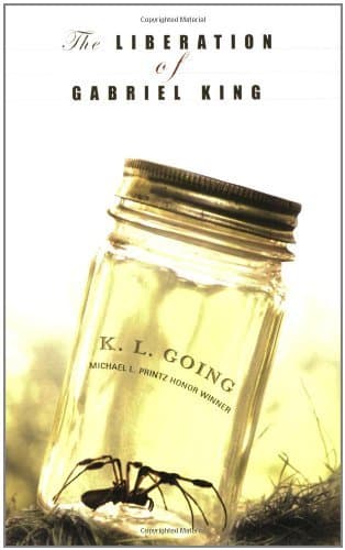 The Liberation of Gabriel King book cover