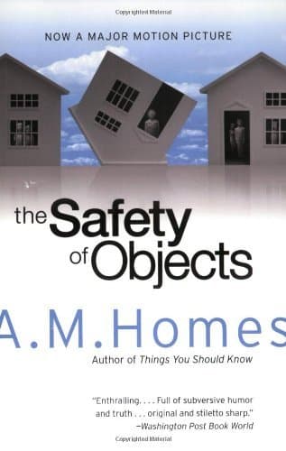 The Safety of Objects book cover