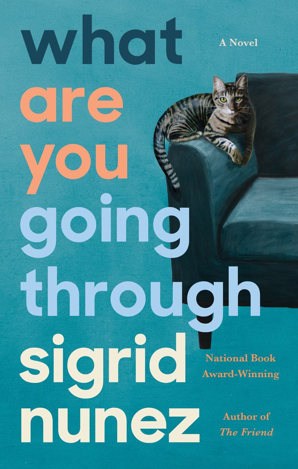 What Are You Going Through book cover